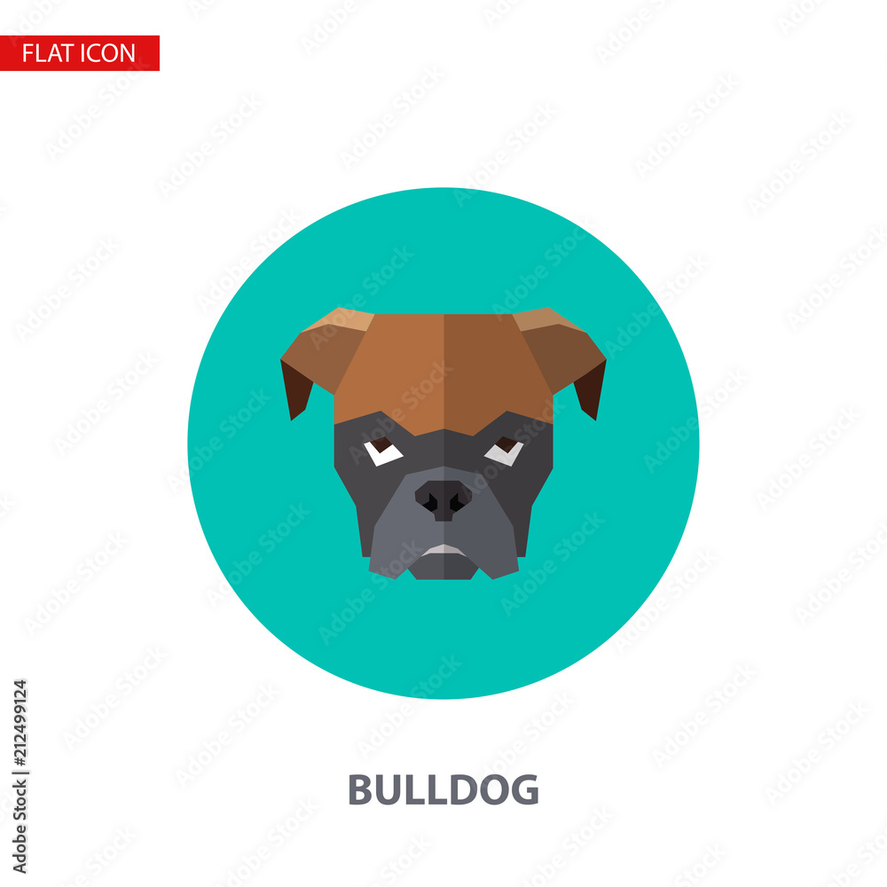 Bulldog head vector flat icon on turquoise circular background Bulldog head vector flat icon on turquoise circular background