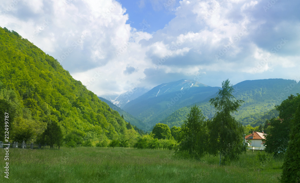 Beautiful landscape in summer in the mountains