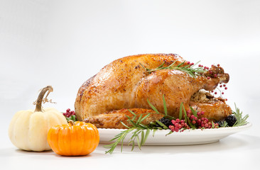 Thanksgiving Turkey on White