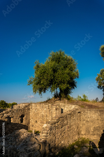 Living and death of nature