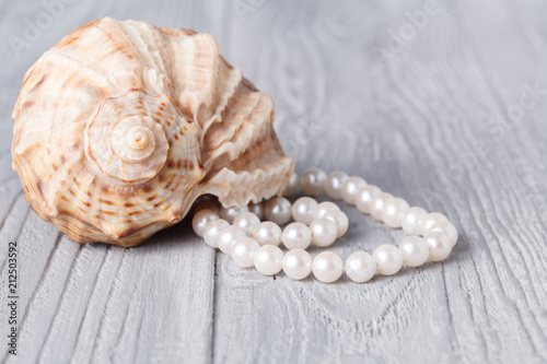 Wedding background with pearls and sea shell. Luxury wedding background