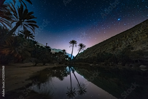 Two date trees under the stars