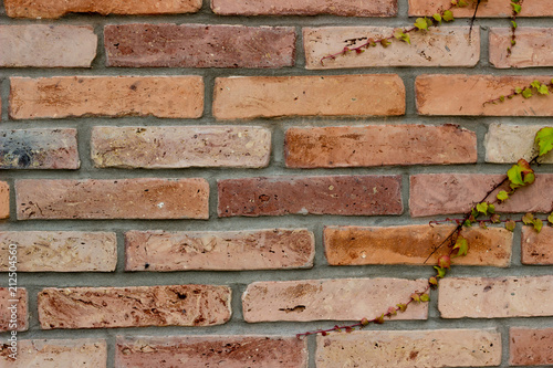 Vintage wall texture. English style 