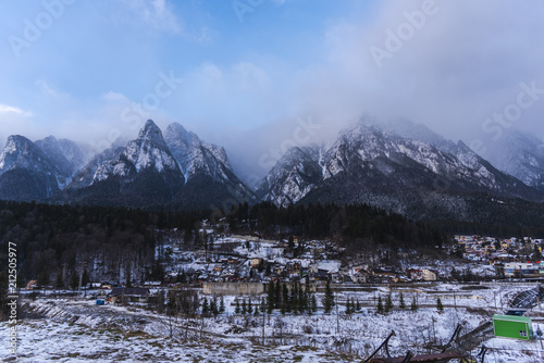 Winter landscape