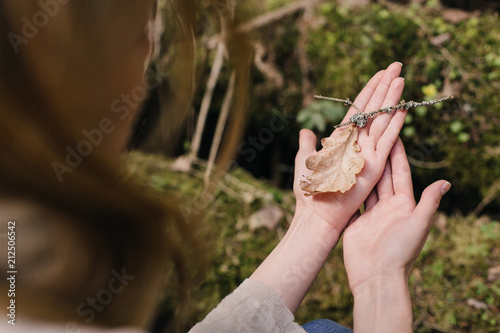 oak leaf in female hands