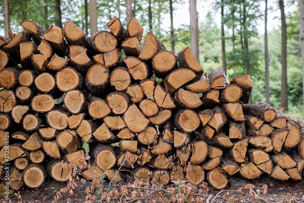 Cut logs of alder wood stacked. Wood for firing in the oven prepared for export.