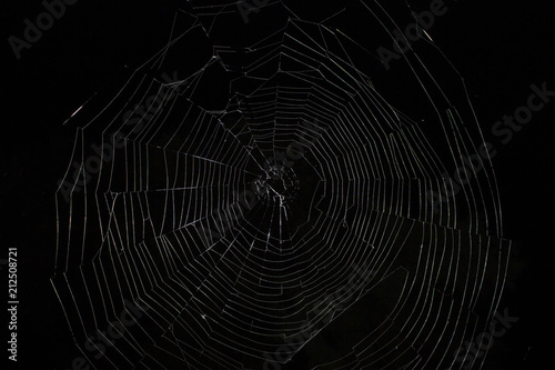  large web, night