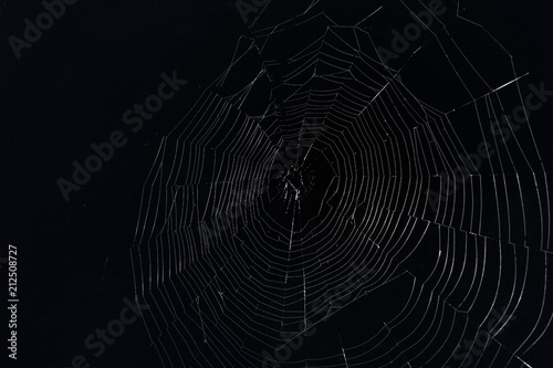  large web