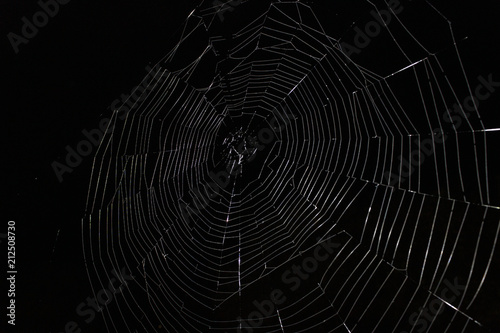 large web, cold tone, at an angle