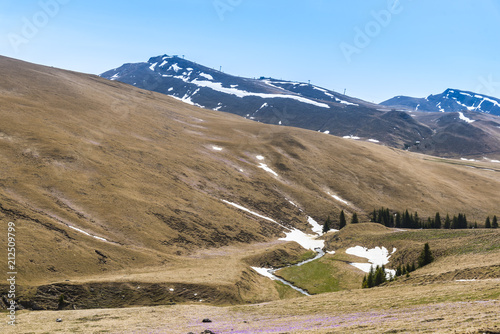 landscape at cota 2000 in the springtime, Romania, Bucegi mountains