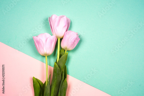 Fototapeta Naklejka Na Ścianę i Meble -  Pink tulips on thebright colorful background. Flat lay, top view. Valentines background. Horizontal, copy space for text