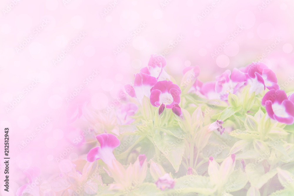 Purple color flower in soft and blur style for background