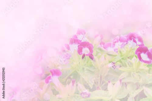 Purple color flower in soft and blur style for background © Chris