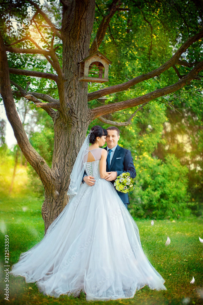 Groom embraces bride's waist, near tree, in summer park at sunset Groom embraces bride's waist, near tree, in summer park at sunset