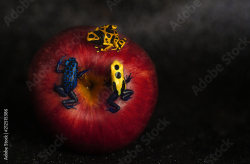 apple with three dendrobates