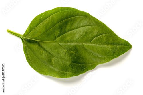 Leaf of basil isolated on white background