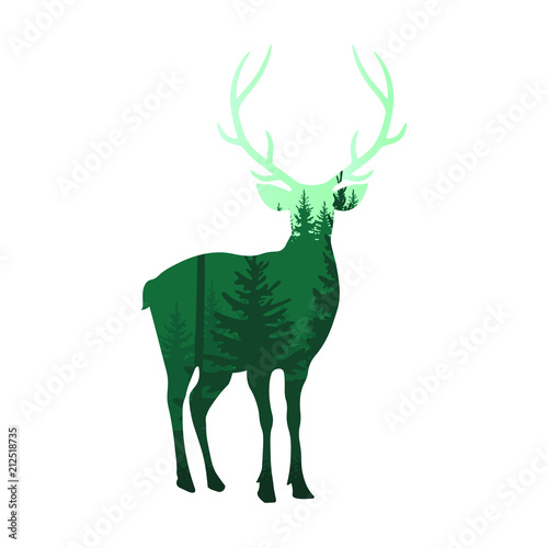 Deer illustration. Vector.