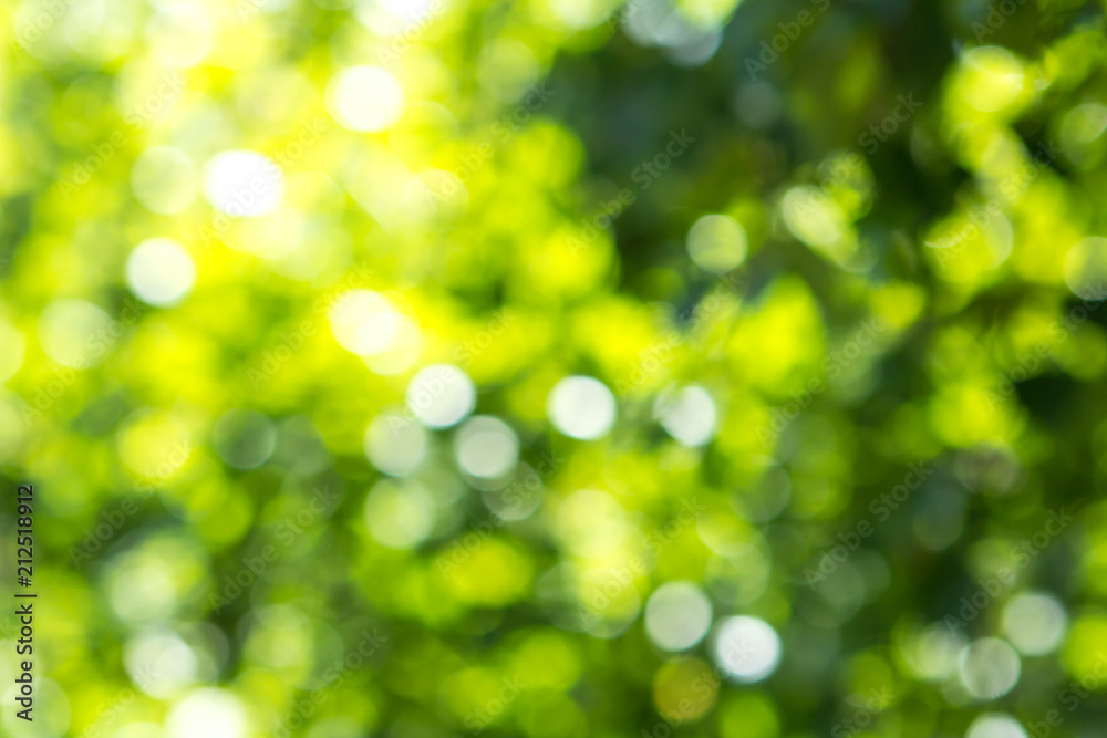 Blurred green tree leaf background with bokeh, Nature texture Blurred green tree leaf background with bokeh, Nature texture