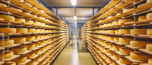 shelves with cheese at a cheese warehouse