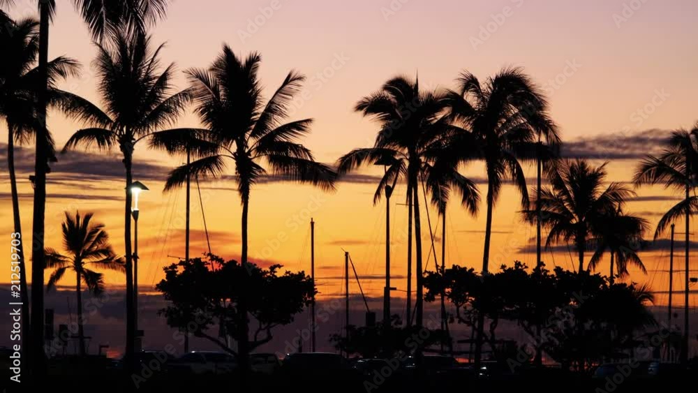 Professional video of sunset in Hawaii in 4k slow motion 60fps Professional video of sunset in Hawaii in 4k slow motion 60fps