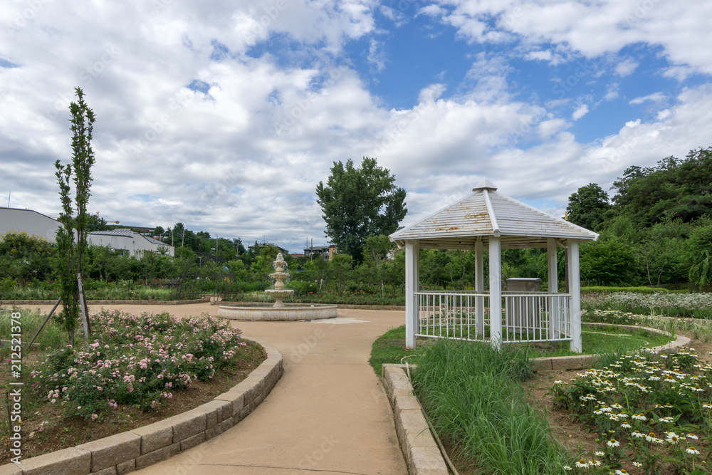 Fototapeta premium pureun arboreteum rose garden