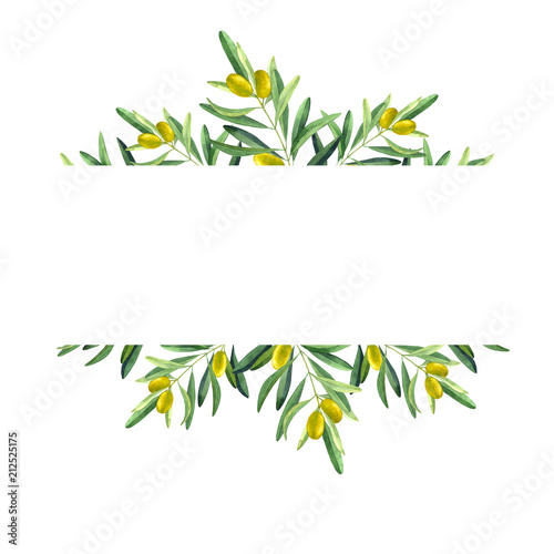 Frame with olive branch. Watercolor illustration. Botanical label 