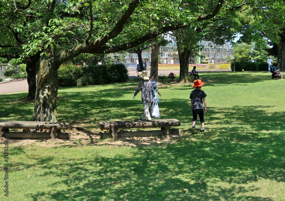 Fototapeta premium 夏の芝生の公園を走る子供