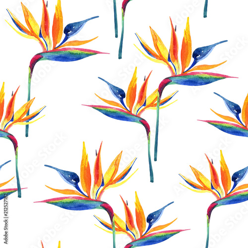 Simple watercolor tropical seamless pattern with bird-of-paradise flower.