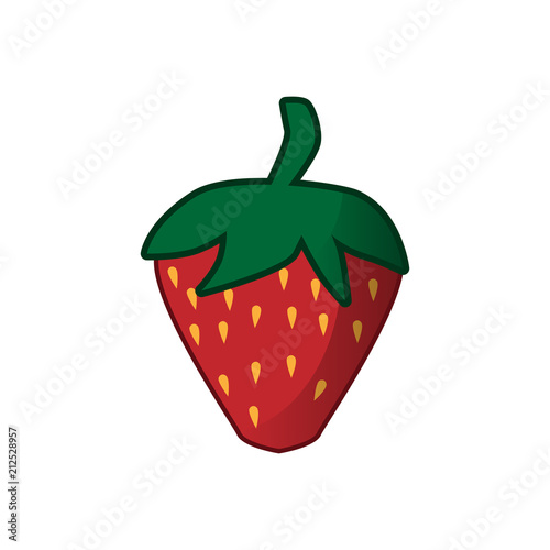 Strawberries Vector Illustration