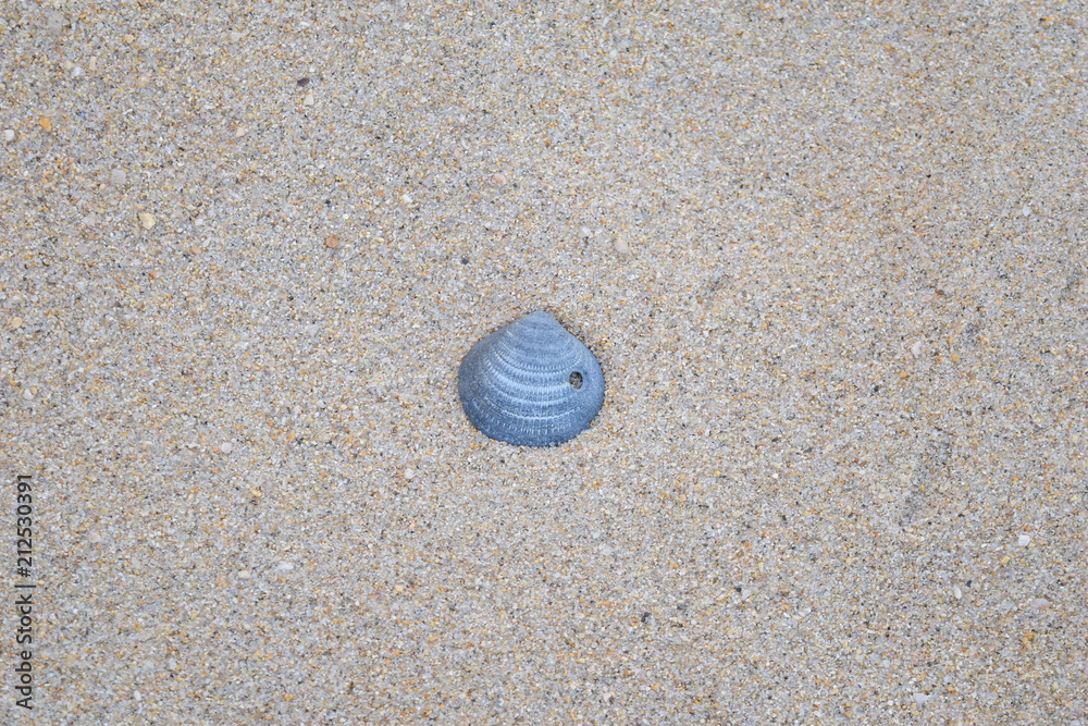 Sea Sea