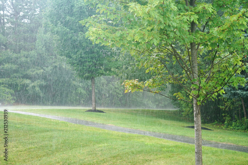 Fototapeta Naklejka Na Ścianę i Meble -  heavy rain and tree in the parking lot
