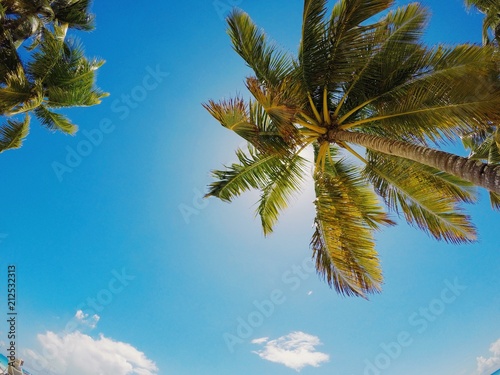 Obraz na płótnie Punta Cana