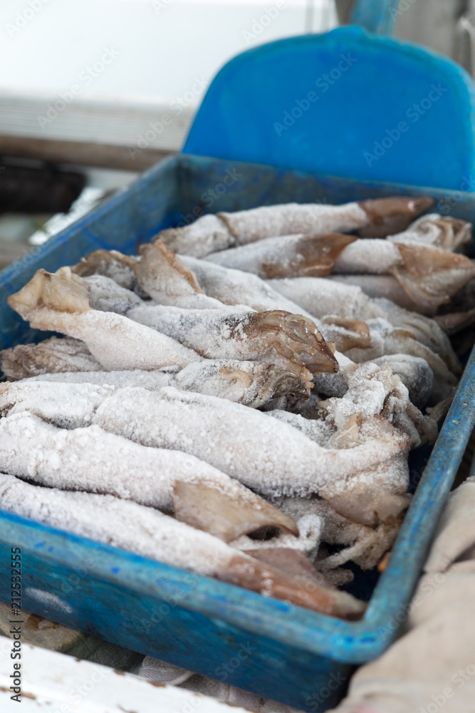 Frozen squid for fishing bait thawing in a tray with shallow depth of field  Stock Photo