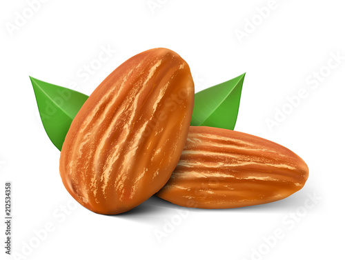 Realistic almond nuts with leaf isolated on white background. Vector illustration. Ready to use for your design, presentation, promo, ad. EPS10.