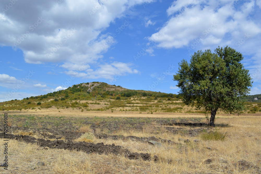 Picturesque Landscape near Pobeda Village Picturesque Landscape near Pobeda Village
