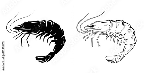 Shrimp silhouette sea animal. Vector sketch illustration. photo