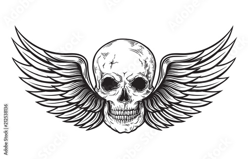 Skull and wings in engraving style. Vector illustration