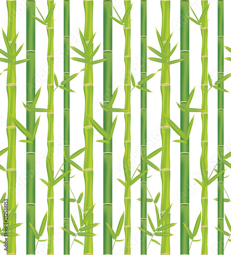 Bamboo branches design