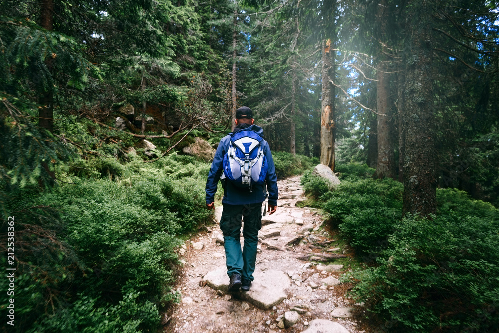 Man backpack walking dense forest Travel lifestyle concept