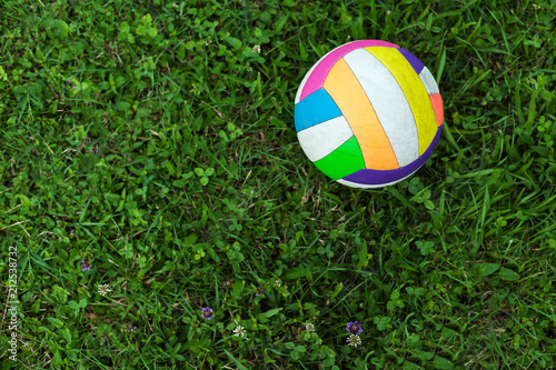 Colorful Volleyball on Grass