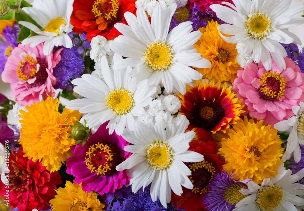 Fototapeta bouquet of various summer flowers as background