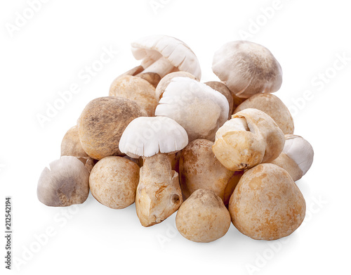 Straw mushrooms isolated on white background .