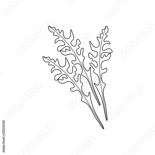 Arugula coloring pages