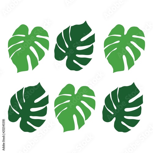 illustration leaves with attractive colors