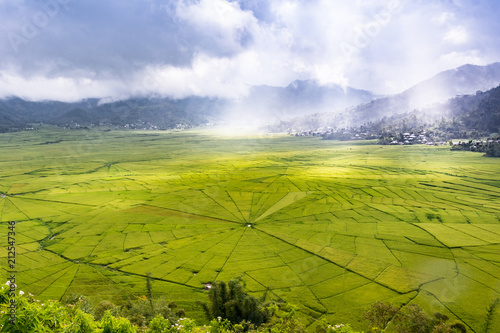 Aerial View of Lingko Spider Web Rice Fields While Sunlight Piercing Through Clouds to the Field with Raining. Flores, East Nusa Tenggara, Indonesia photo