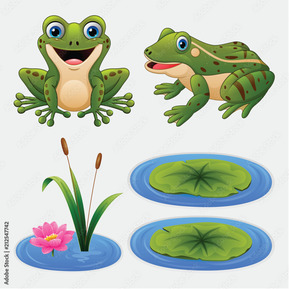 Fototapeta premium Komplet kreskówka żaba i lilia wodna
