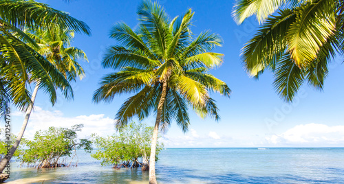 Fototapeta Naklejka Na Ścianę i Meble -  Welcome to the Caribbean paradise: rest, relaxation, dreaming and enjoying a lonely beautiful beach :)