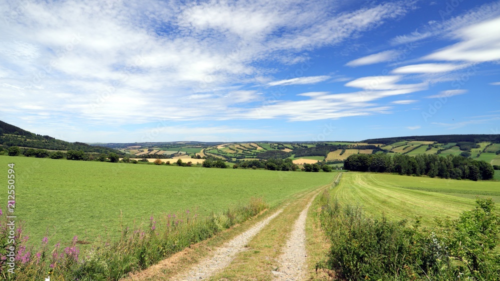 Obraz premium der weg ist das ziel