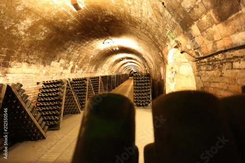 Bottling wine in bottles in the cellar