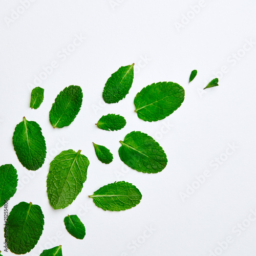 Aromatic mint leaves on a white background. Natural layout. Flat lay